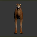 Realistic 3D Camel Model Standing With Open Mouth And Brown Orange Fur On Dark Surface