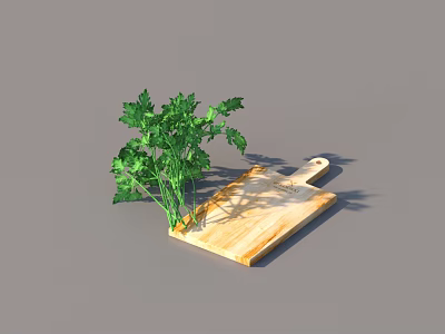 Fresh Green Parsley Herb as Kitchen Ingredient on Wooden Cutting Board 3d model