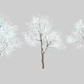 Three Snow Covered Trees With Brown Trunks And White Snow On Branches 3d model
