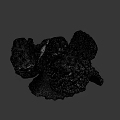 Unique Porous Coral Like Marine Structure With Natural Textured Surface
