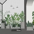Modern Indoor Bonsai and Potted Plants with Concrete Planters and Green Foliage