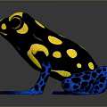 Frog Poison Frog Game Frog Reptile Cold Blooded Animal Reptile 3d model