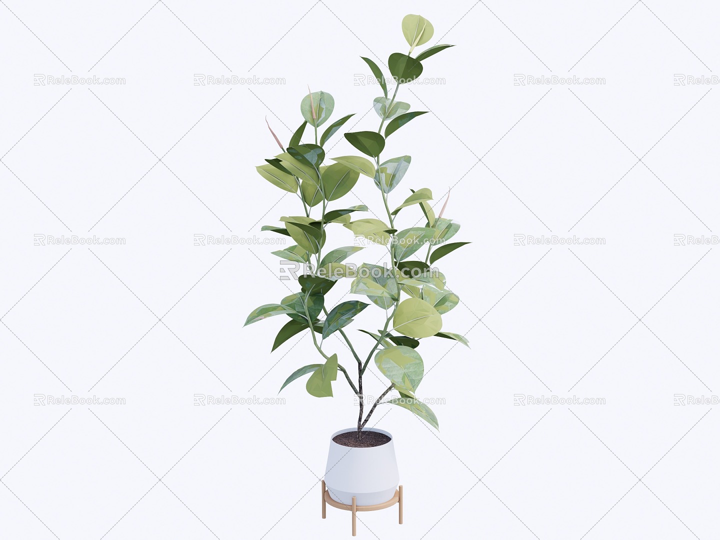 indoor potted plant 3d model