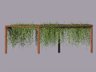 Outdoor Pergola With Wooden Frame And Lush Hanging Green Vines 3d model