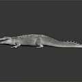 White Crocodile With Open Mouth And Reflection On Gray Background 3d model