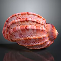 Vibrant Red And White Striped Conch Shell With Spiral Pattern On Gray Background