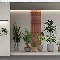Modern Indoor Potted Plants Display With Various Greenery Different Planter Styles And Decorative Wall
