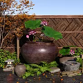 Zen Garden With Large Clay Pot Lotus Flowers Leaves Bamboo Fence Stone Lantern