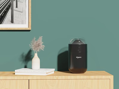 Wooden Cabinet Top With Books White Vase Dried Flowers And Black Dyson Daily Appliance 3d model