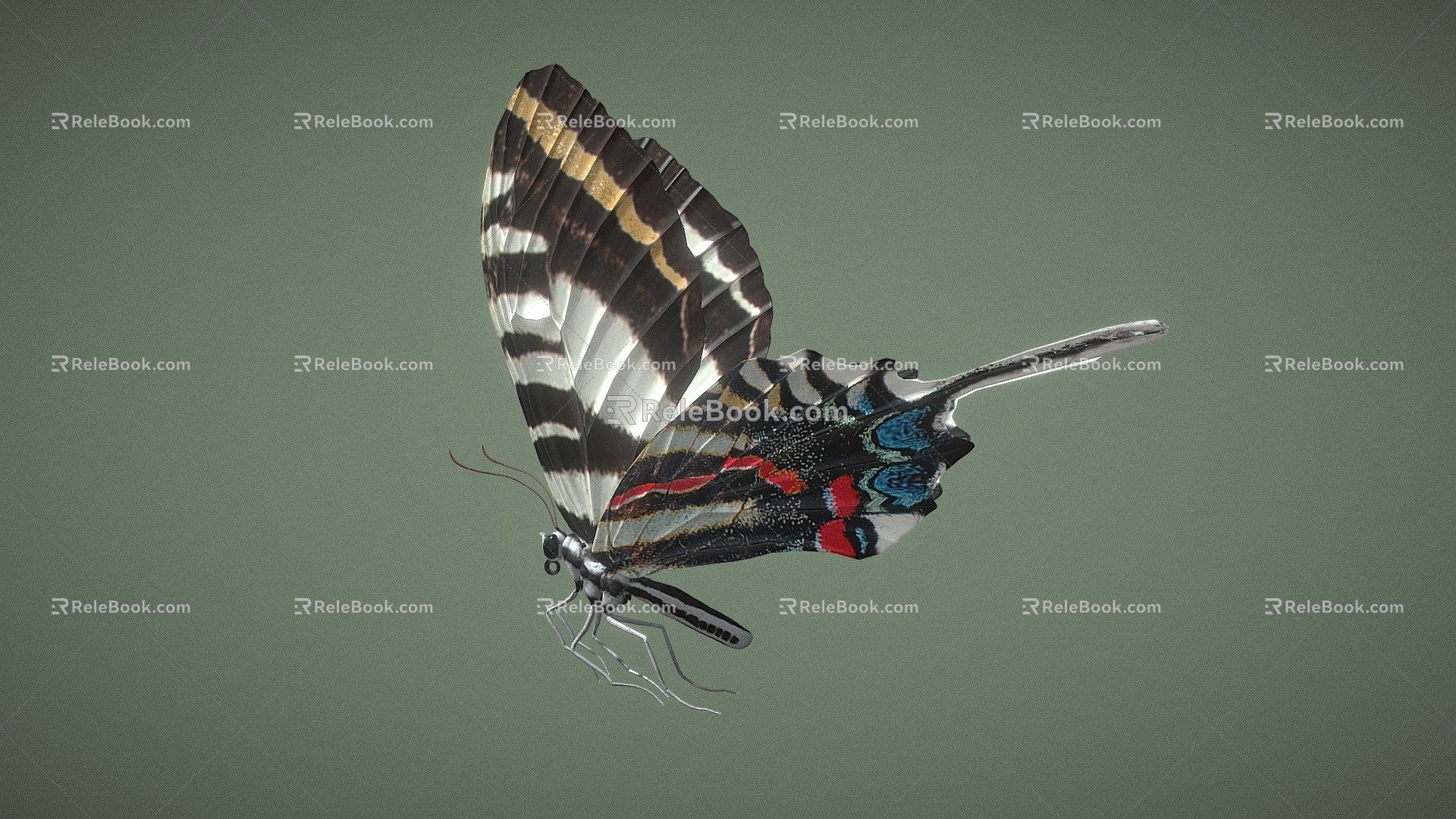 Butterfly 3d model