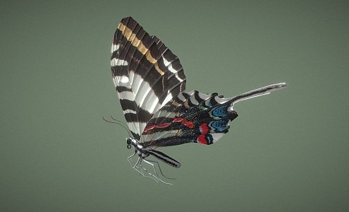 Butterfly 3d model