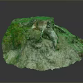 Detailed Natural Tree Stump Featuring Exposed Roots And Moss Covered Rough Surface
