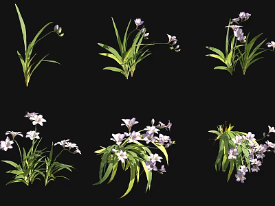 Beautiful Purple And White Flowers With Green Leaves In Various Growth Stages 3d model