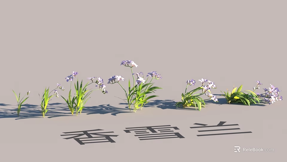 Beautiful Garden Landscape With Purple Freesia Flowers And Green Leaves 3d model 