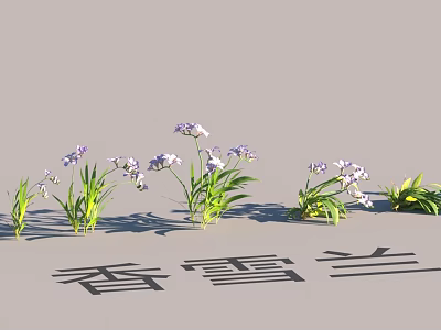 Beautiful Garden Landscape With Purple Freesia Flowers And Green Leaves 3d model