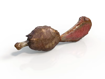 Roasted Bone In Chicken Leg With Crispy Skin And Juicy Meat 3d model