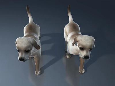 Modern Pet Cabinet Furniture Design With Adorable Puppies And Cozy Features 3d model