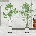 Potted Bonsai Trees in White Ceramic Pots for Modern Room with Archway and Firewood Stack