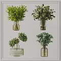 Decorative Vases with Fresh Green Plants in Different Styles for Interior Design