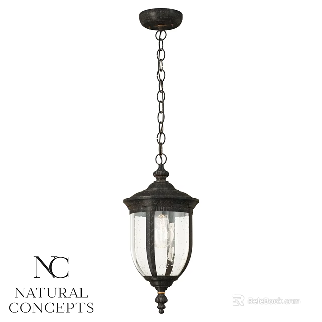 Outdoor Pendant Light with Hanging Chain Dark Metal Frame and Clear Glass Shade 3d model 