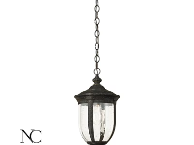 Outdoor Pendant Light with Hanging Chain Dark Metal Frame and Clear Glass Shade 3d model