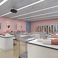 School Science Lab With Pink Walls Windows Metal Lab Tables Projector Screen And Orange Models