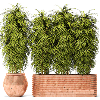 Modern Potted Plant Green Plant Bamboo Potted Plant 3d model