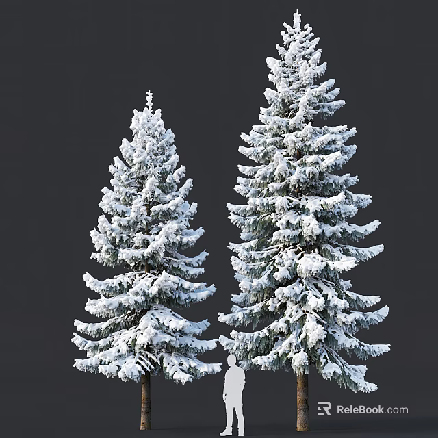 Snow Covered Evergreen Trees with Lush Branches Against Dark Background 3d model