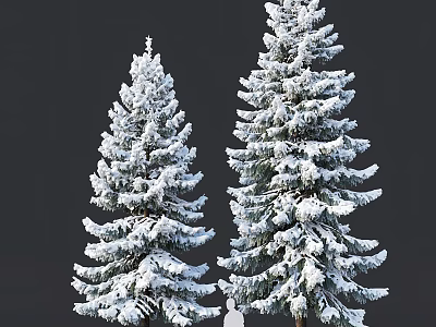 Snow Covered Evergreen Trees with Lush Branches Against Dark Background 3d model