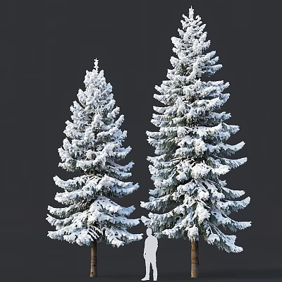 Snow Covered Evergreen Trees with Lush Branches Against Dark Background 3d model
