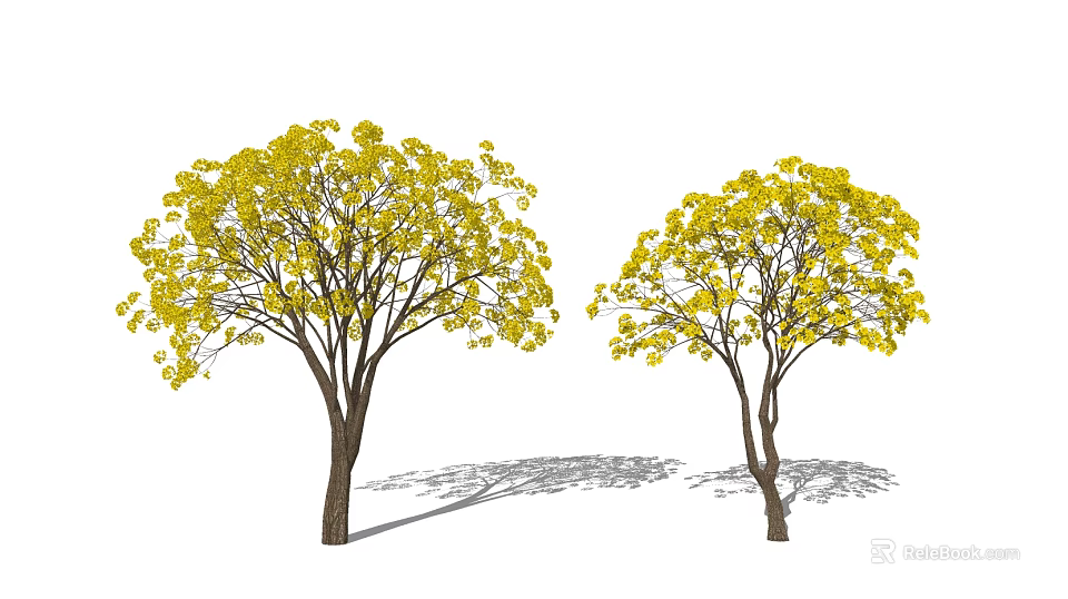 Two Arbor Trees with Yellow Flowers and Brown Trunks in Sunlit Setting 3d model