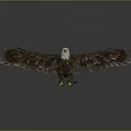 Majestic Eagle Spreading Wings With Detailed Brown Feathers And Sharp Yellow Talons