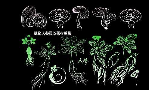 Plant Ginseng Ganoderma lucidum Herb Silhouette 3d model