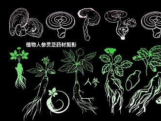 Plant Ginseng Ganoderma lucidum Herb Silhouette 3d model