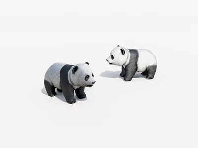 Two Cute Standing Black And White Panda Figures On White Background 3d model
