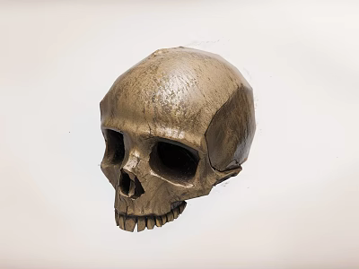 Bronze Tone Skull Decorative Ornament Set For Home Decor Display Pieces 3d model