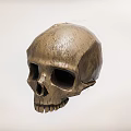 Bronze Tone Skull Decorative Ornament Set For Home Decor Display Pieces