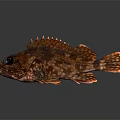 Red Spiny Fish With Scaly Body And Shiny Fins On Gray Background