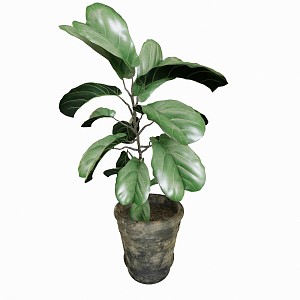 modern potted plant potted plant 3d model