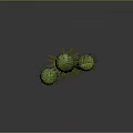 Green Cactus Plant With Multiple Branches And Sharp Spines On Gray Background 3d model