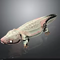 Pink And White Spotted Axolotl With Glowing Eyes Lying On Dark Background With Reflection