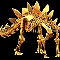 Golden Dinosaur Skeletal Organ Structure With Detailed Bone Features On Black Background