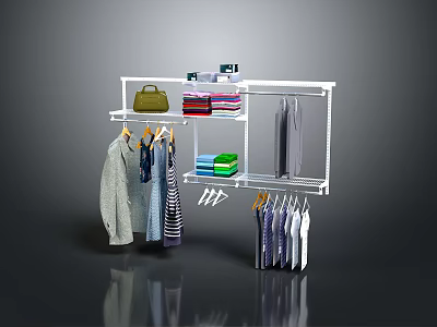 Modern Open Wardrobe Structure With Metal Frame Hanging Rods Shelves And Storage Bags 3d model