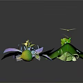 Purple Lotus Flower With Green Leaf Dragonfly Small Leaves And Buds