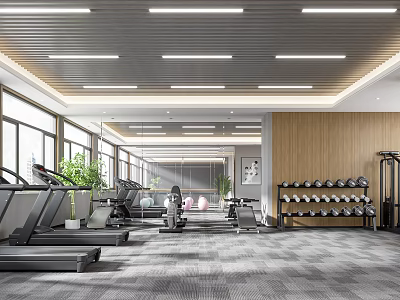 Modern Fitness Gym Interior With Treadmills Dumbbell Rack Large Windows Wooden Wall And Green Plants 3d model