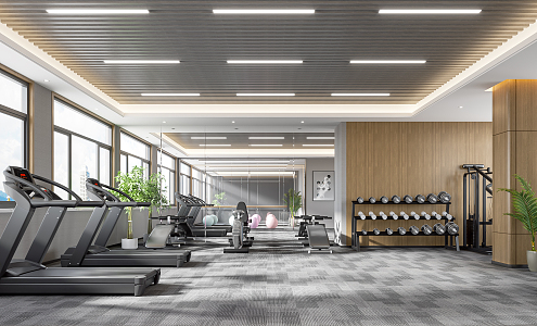 Modern gym office four 3d model