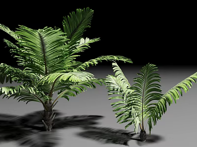 Lush Green Shrubs Featuring Long Feathery Leaves And Natural Shadows 3d model