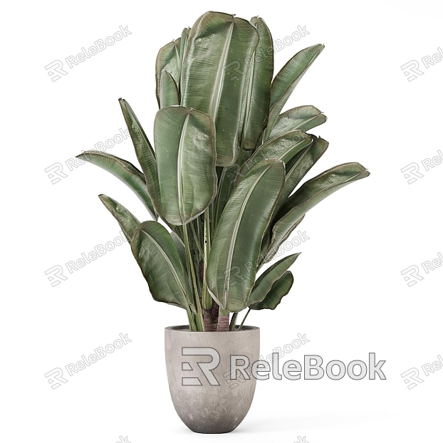 potted plant green plant vase flowerpot model