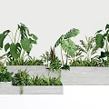 Potted Green Leafy Plants in Rectangular Grey Concrete Planters with Various Tropical Foliage 3d model