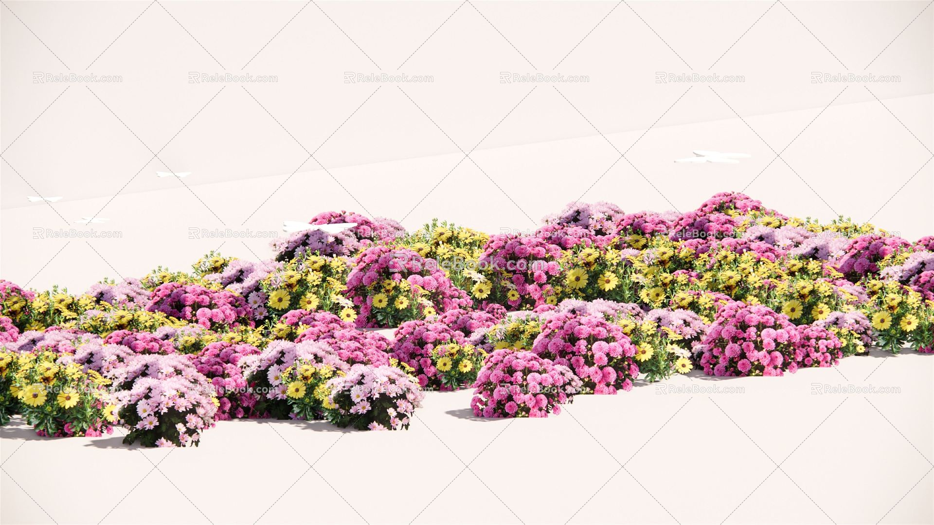 Modern Plant Flower Border Plant Group 3d model